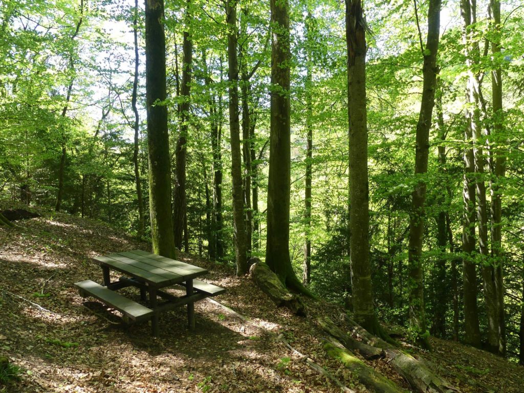 banc-1005