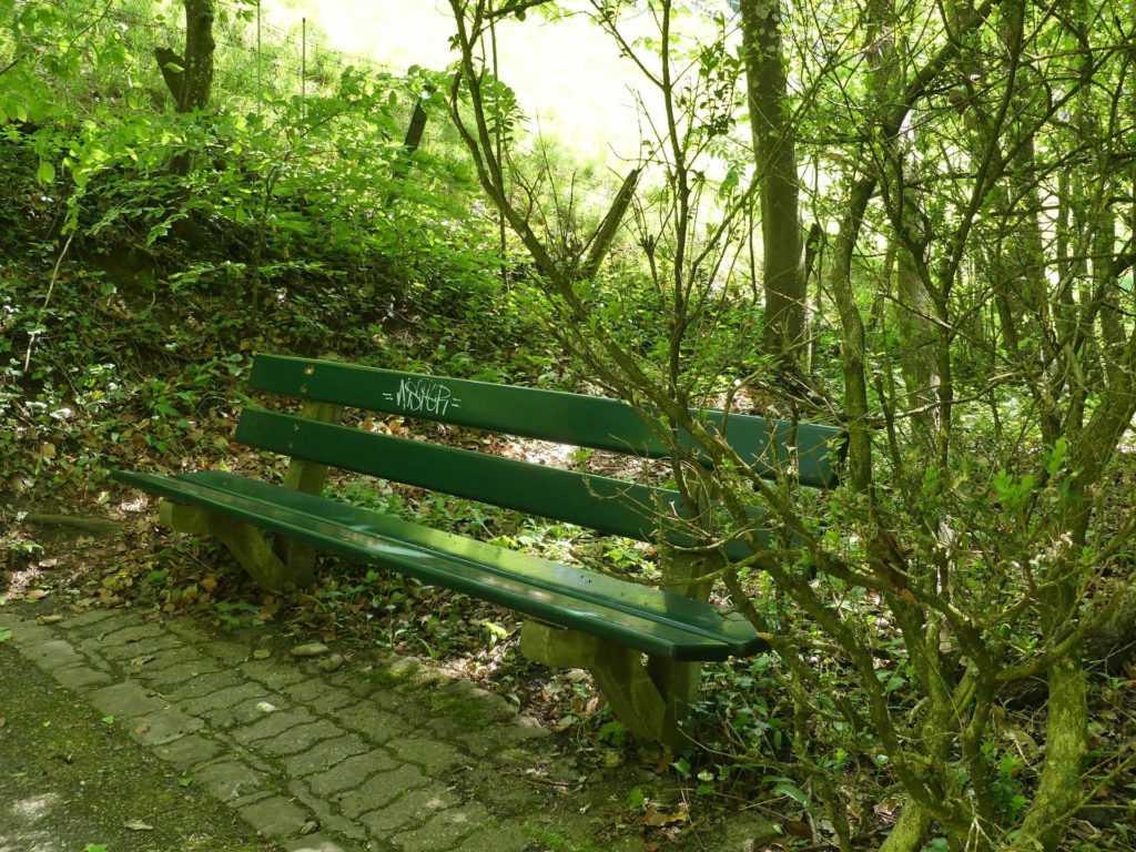 banc-1006