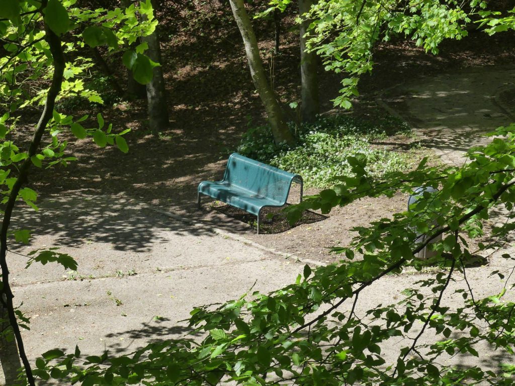 banc-1007