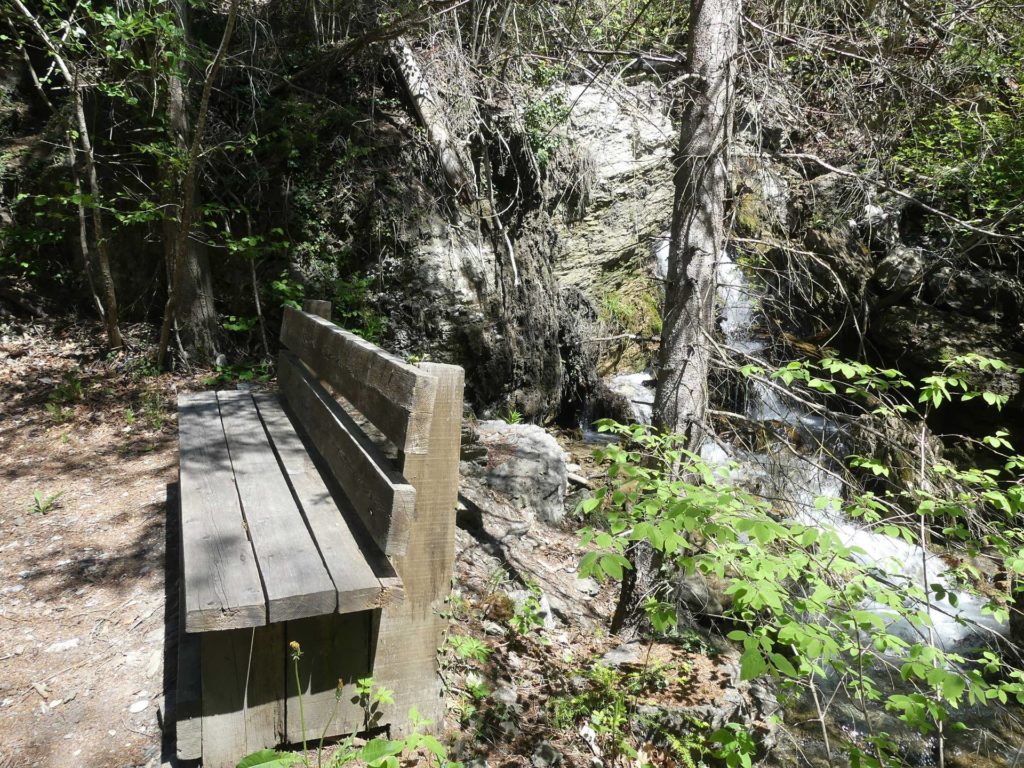 banc-1009