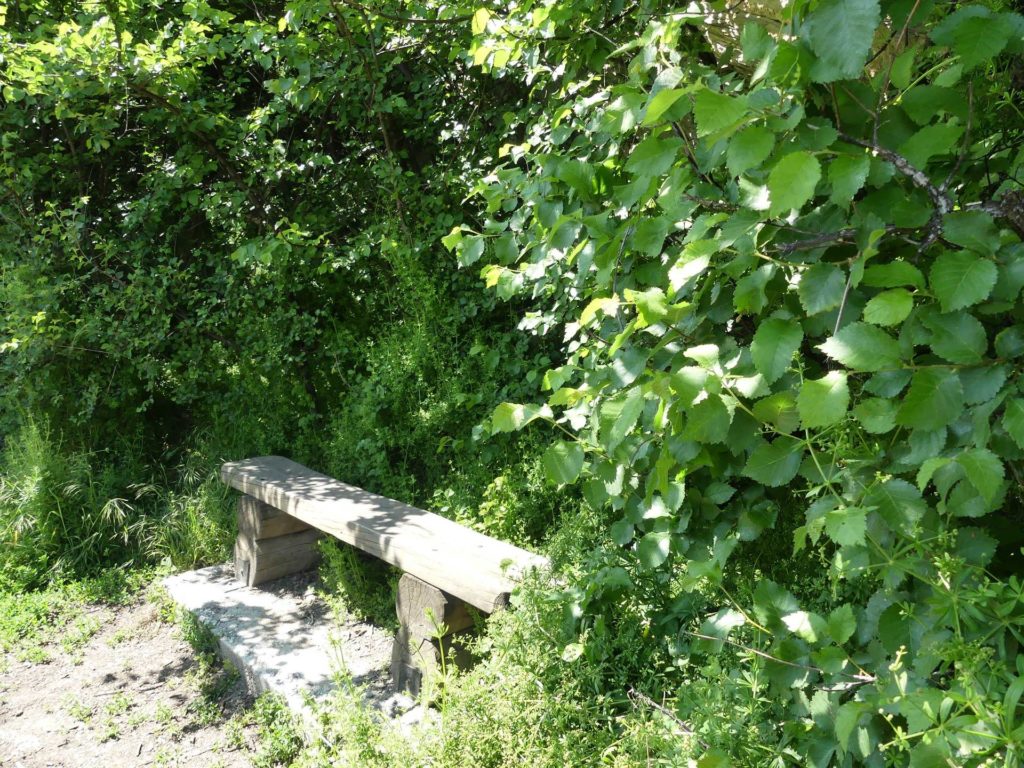 banc-1016
