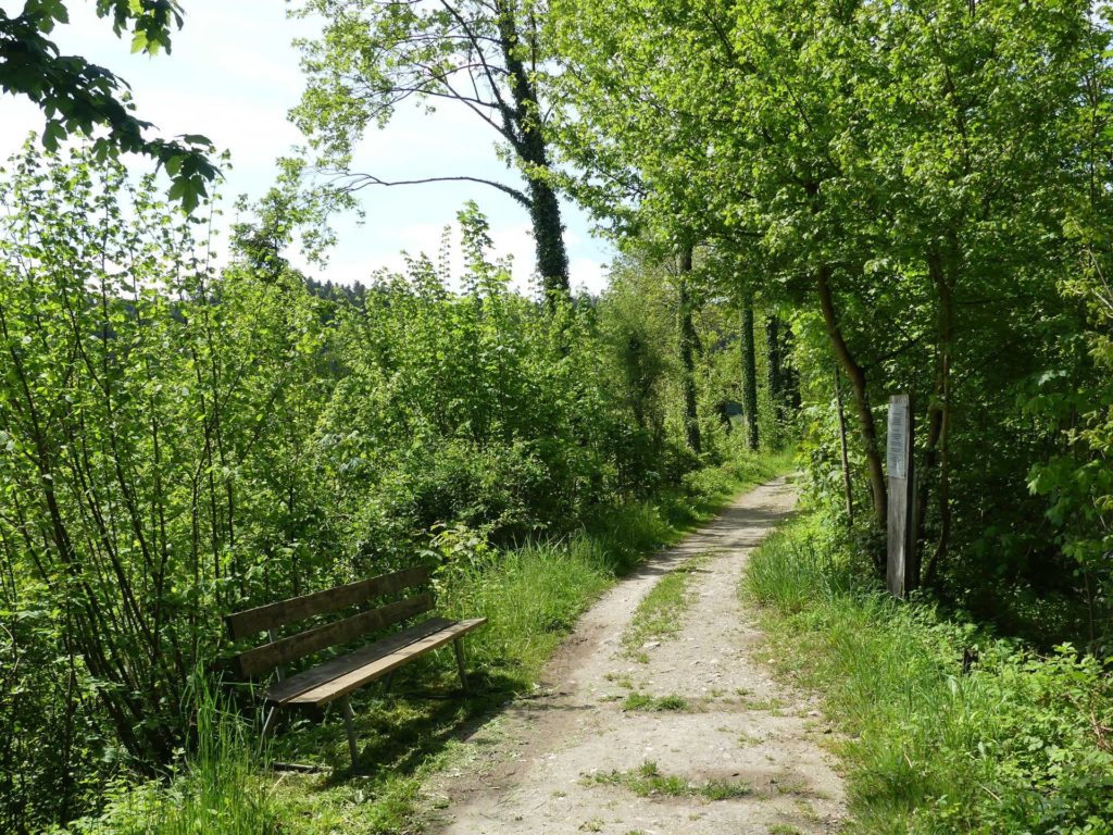 banc-1022