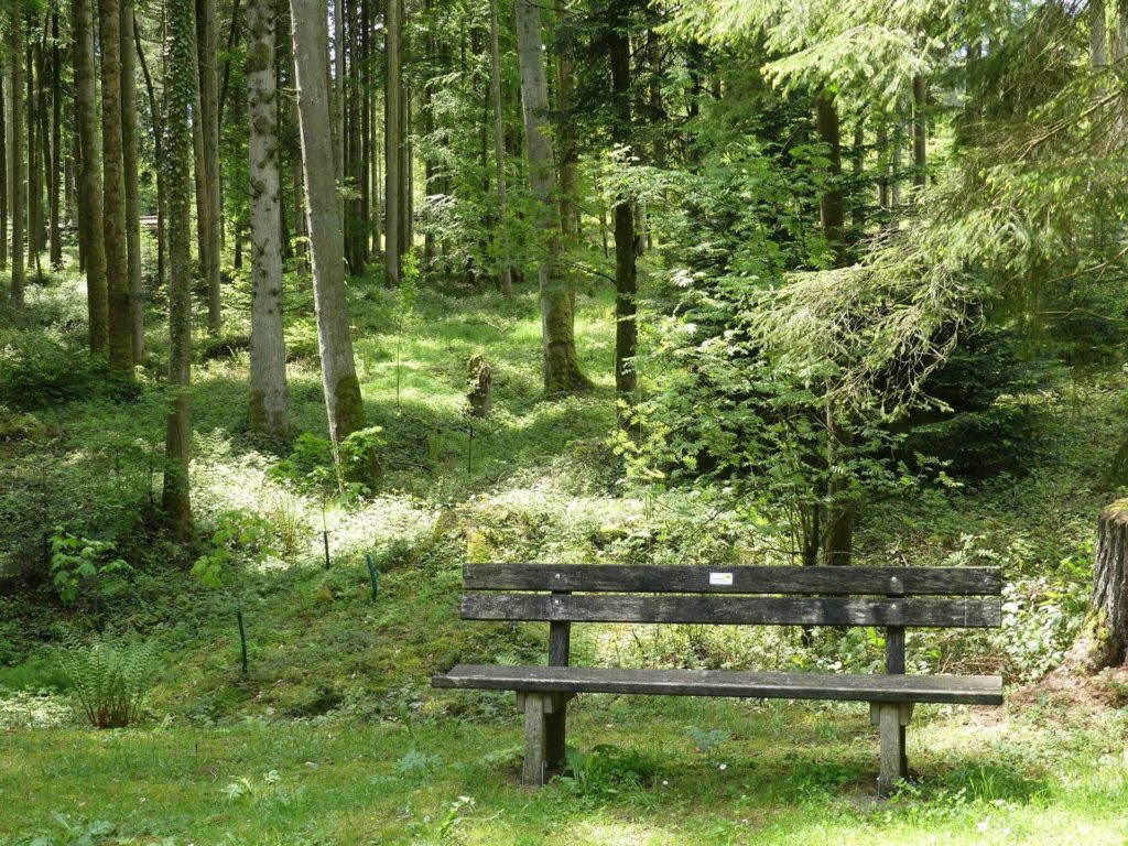 banc-1031