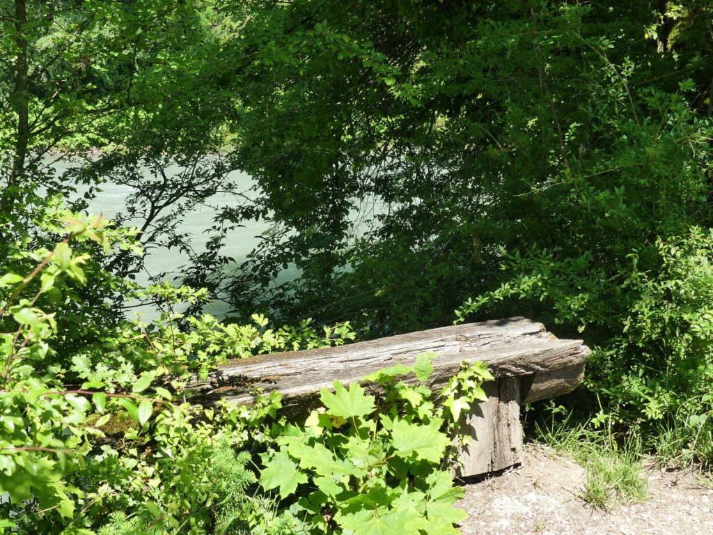 banc-1036