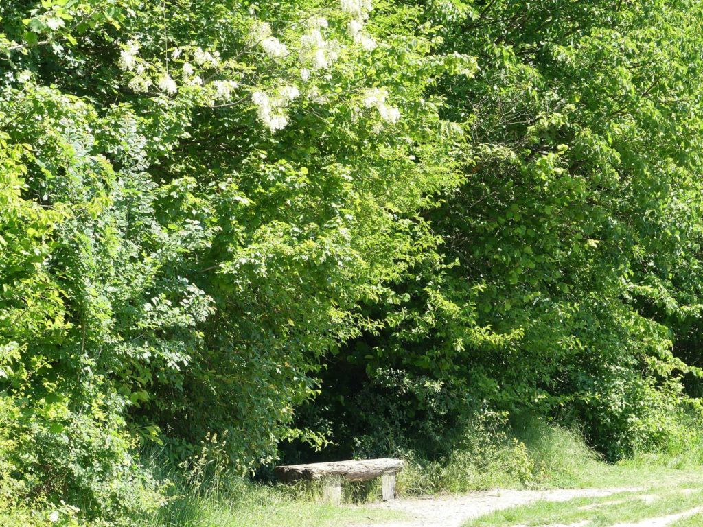 banc-1039