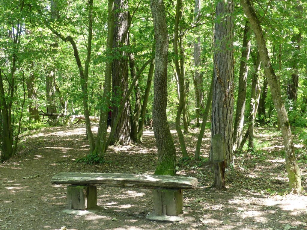 banc-1041