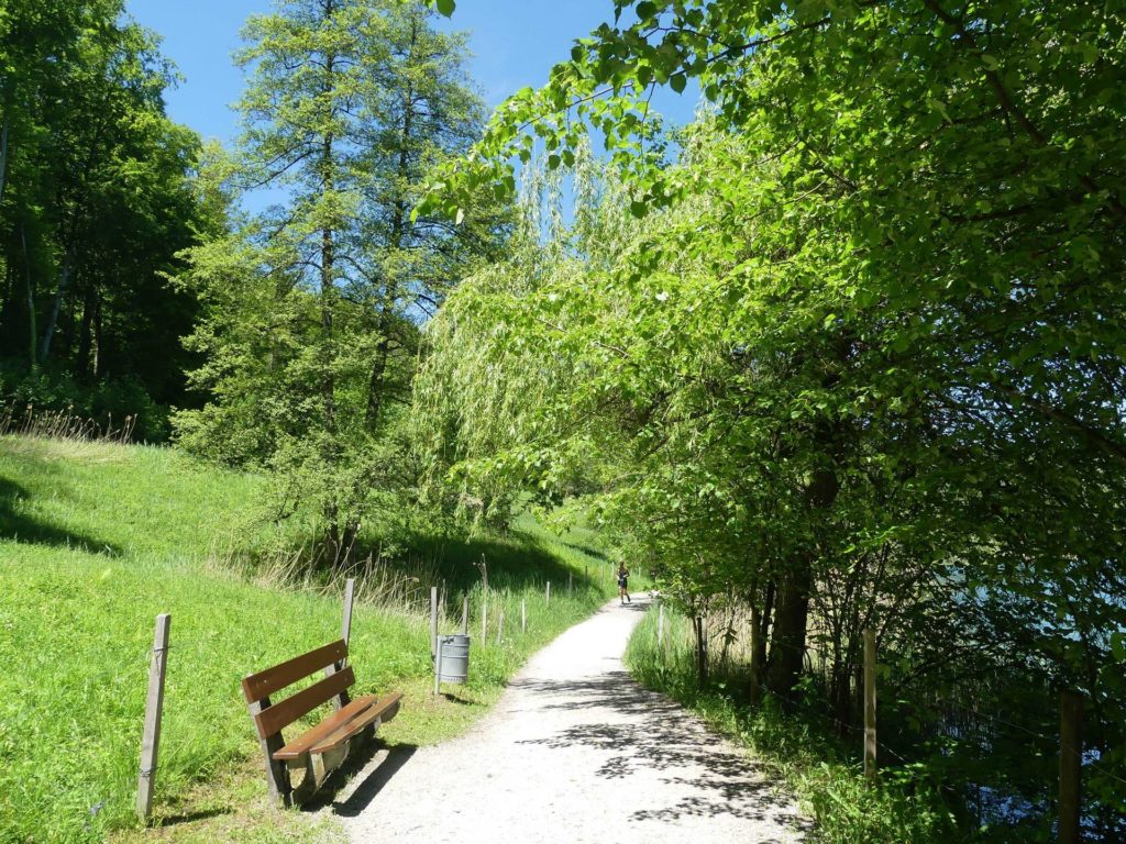 banc-1053