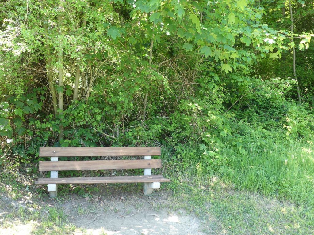 banc-1054