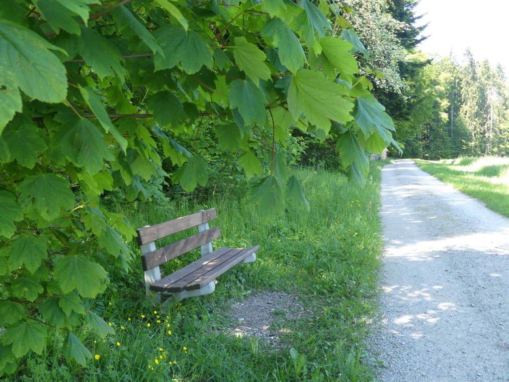 banc-1055