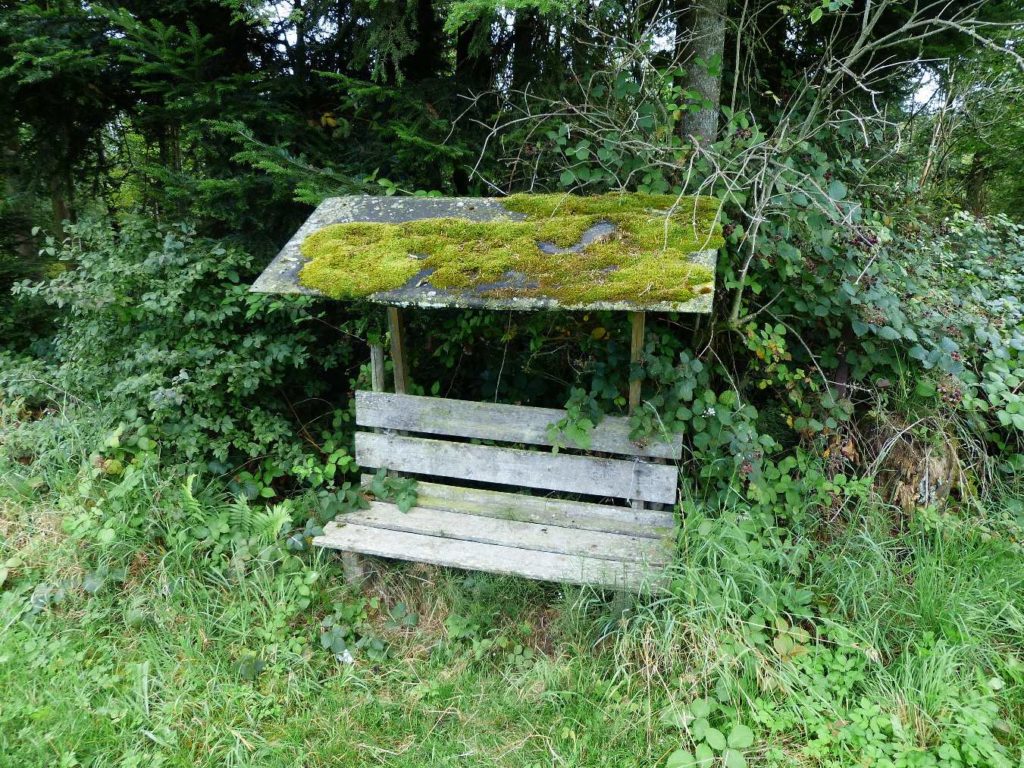 banc-106