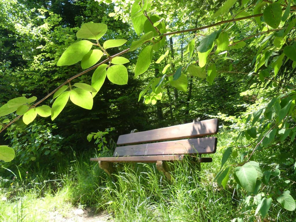 banc-1064