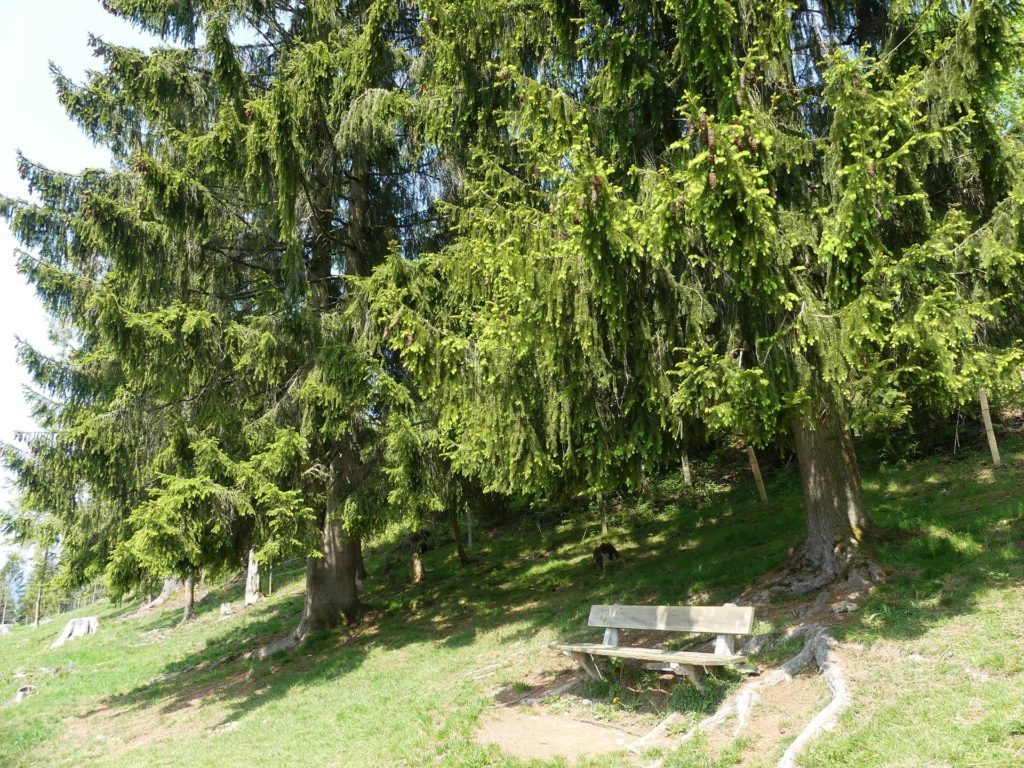 banc-1076