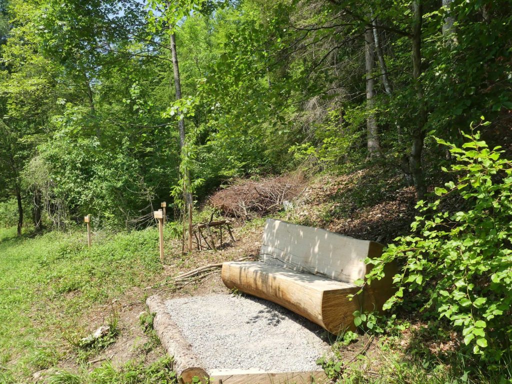 banc-1081