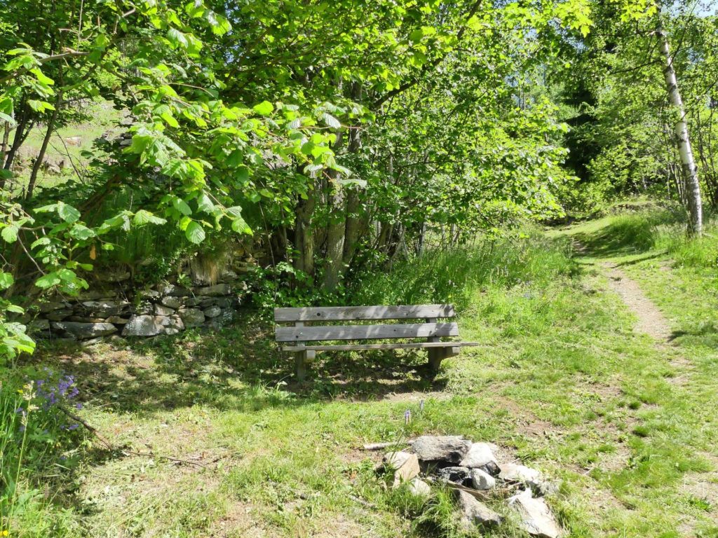 banc-1102