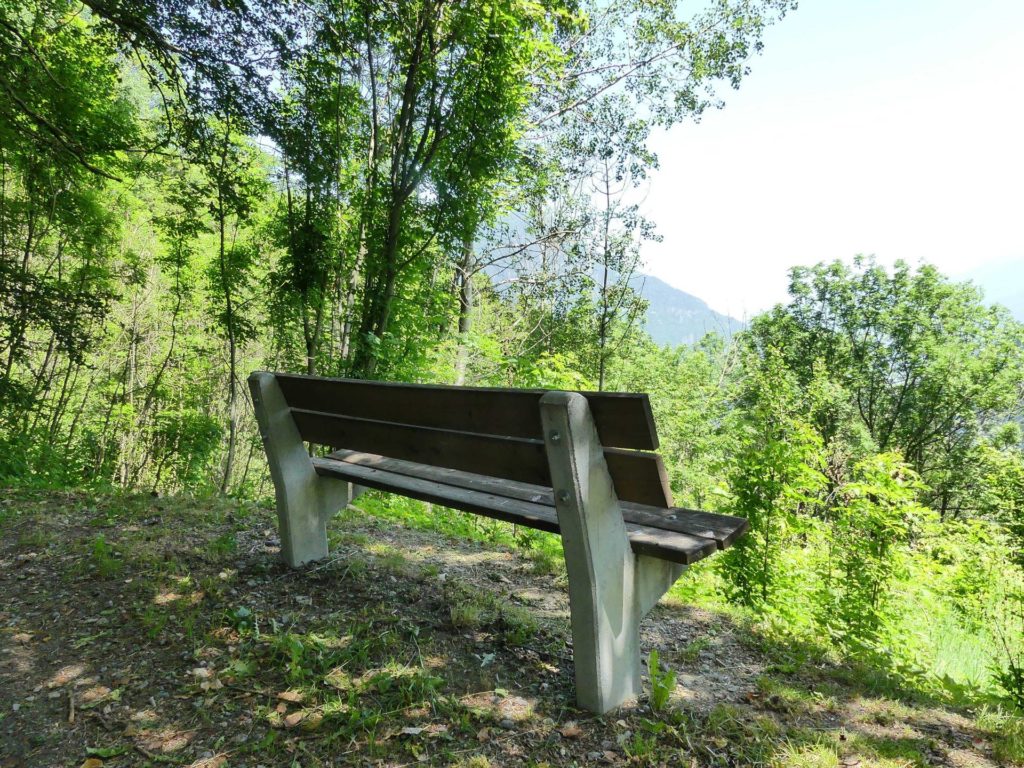 banc-1107