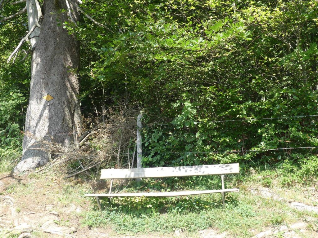 banc-1111