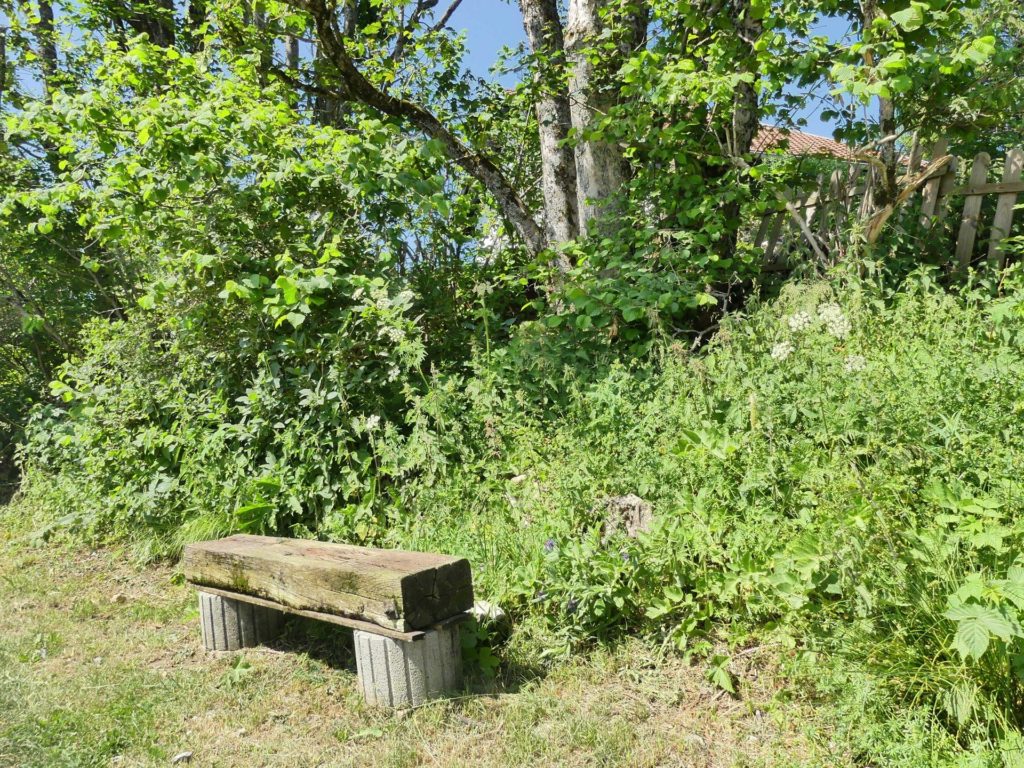 banc-1114
