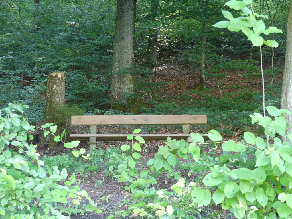 banc-1117