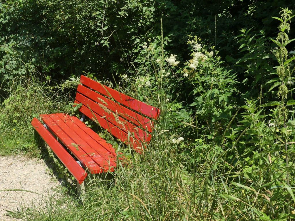 banc-1126