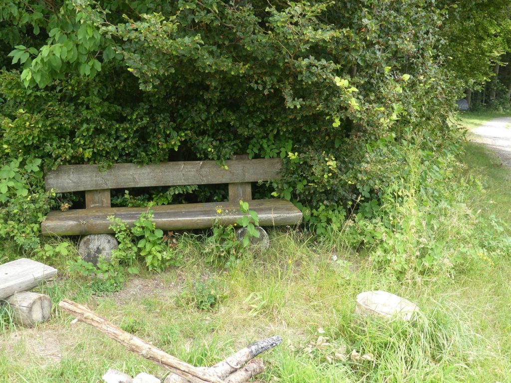 banc-1135