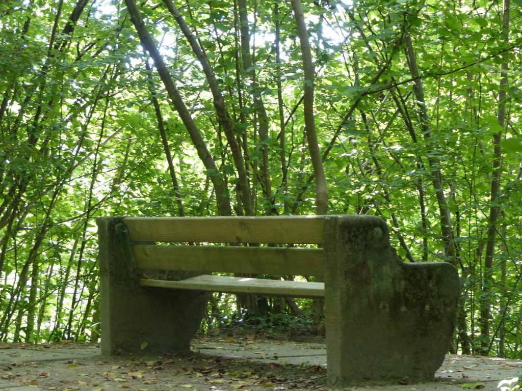 banc-115