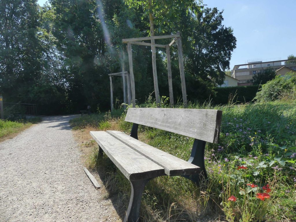 banc-1151
