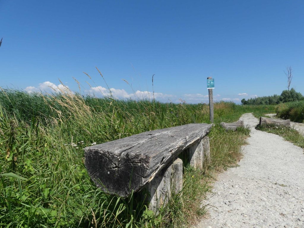 banc-1154