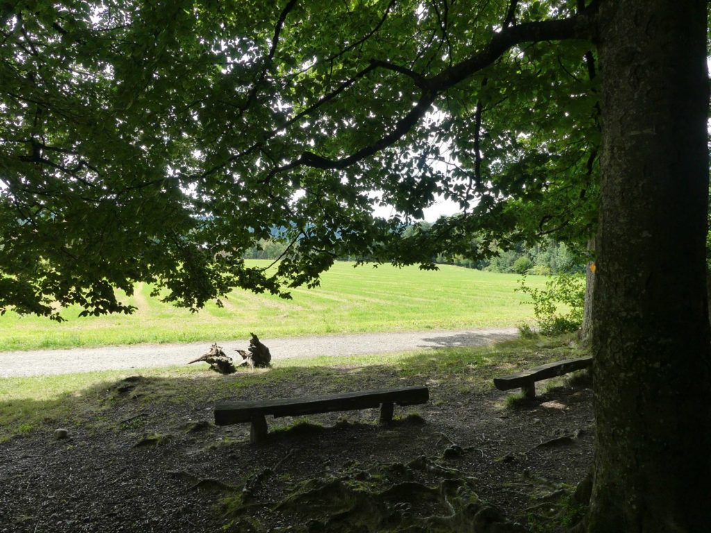 banc-1175
