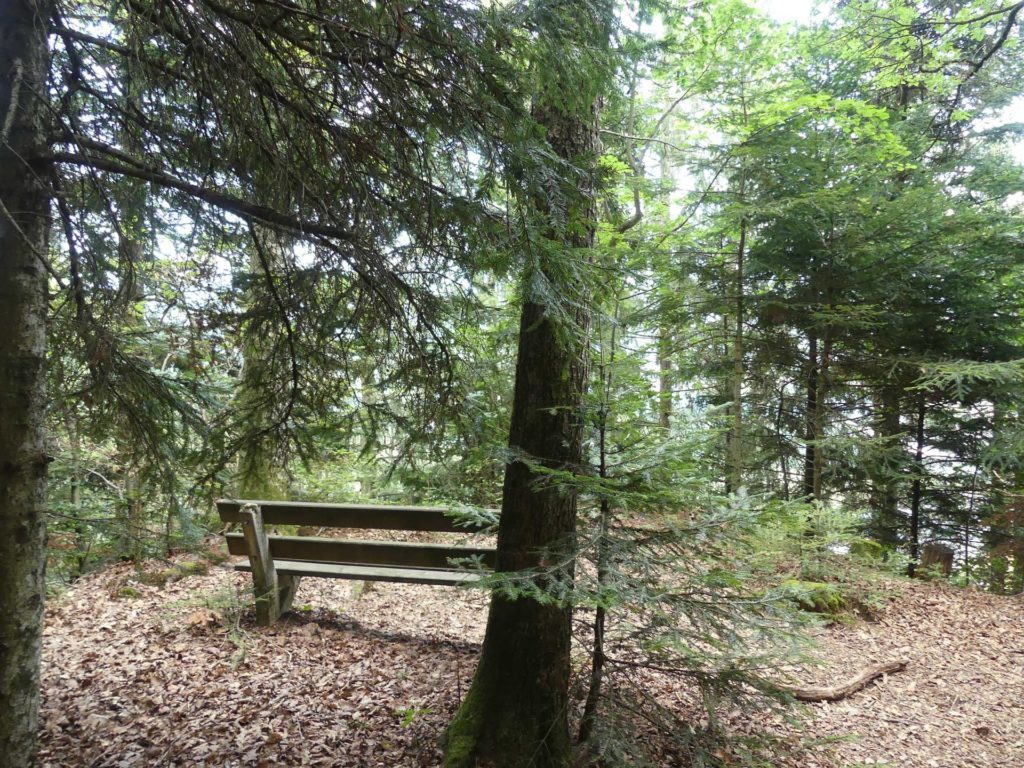 banc-1186