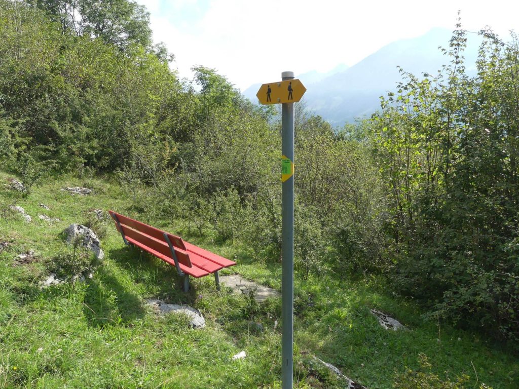 banc-1193