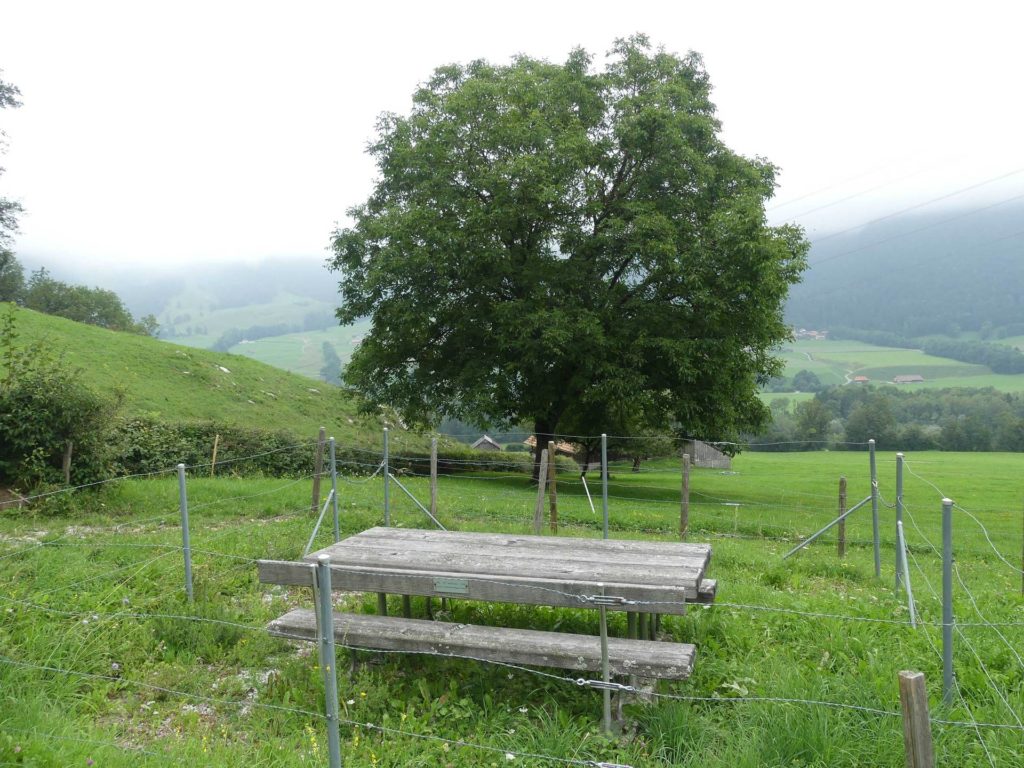 banc-1200