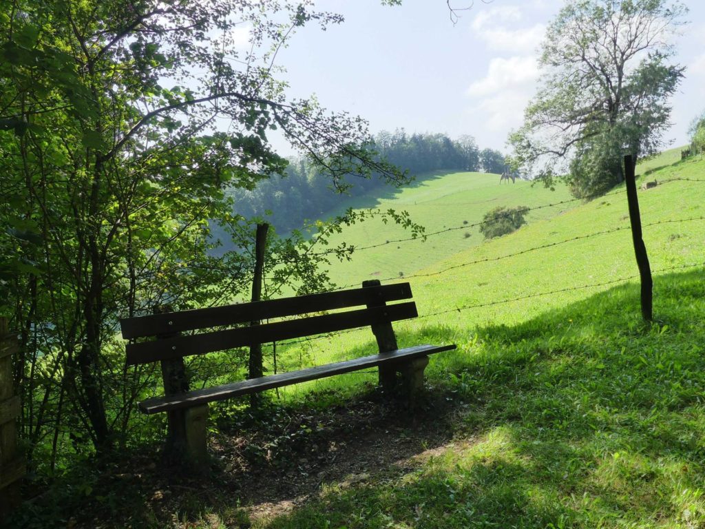 banc-1224