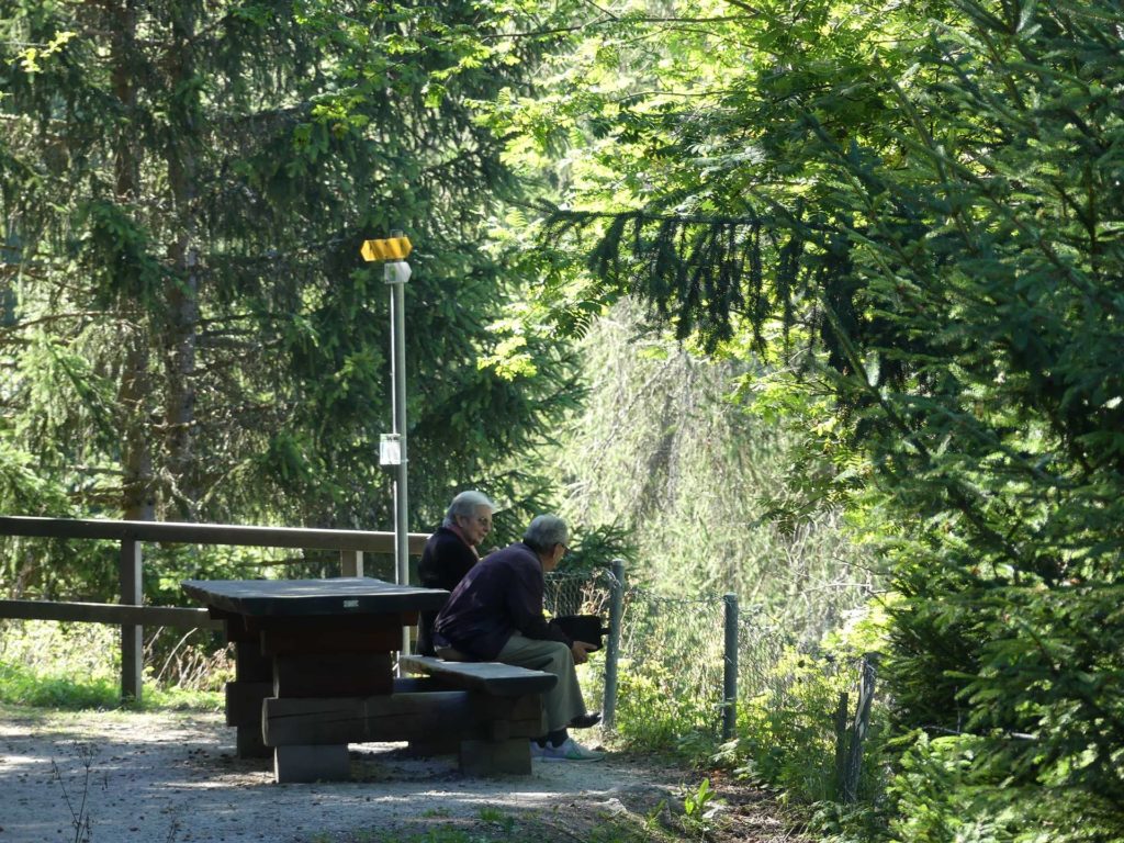 banc-1236