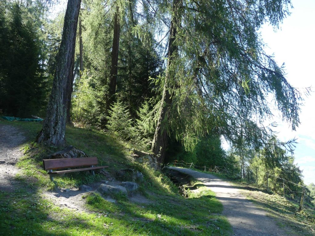 banc-1237
