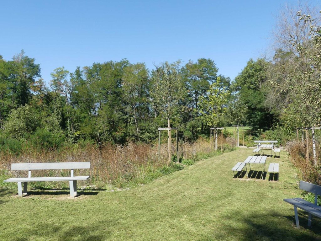 banc-1243