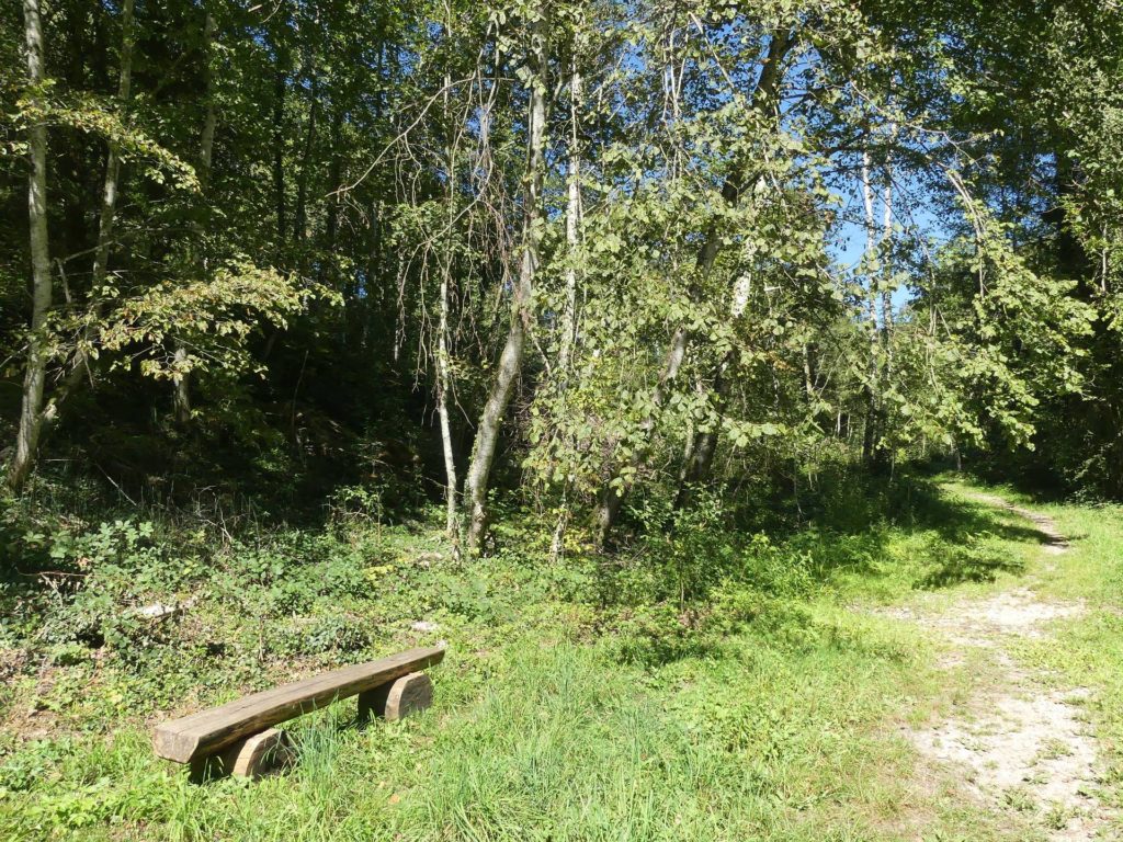banc-1251