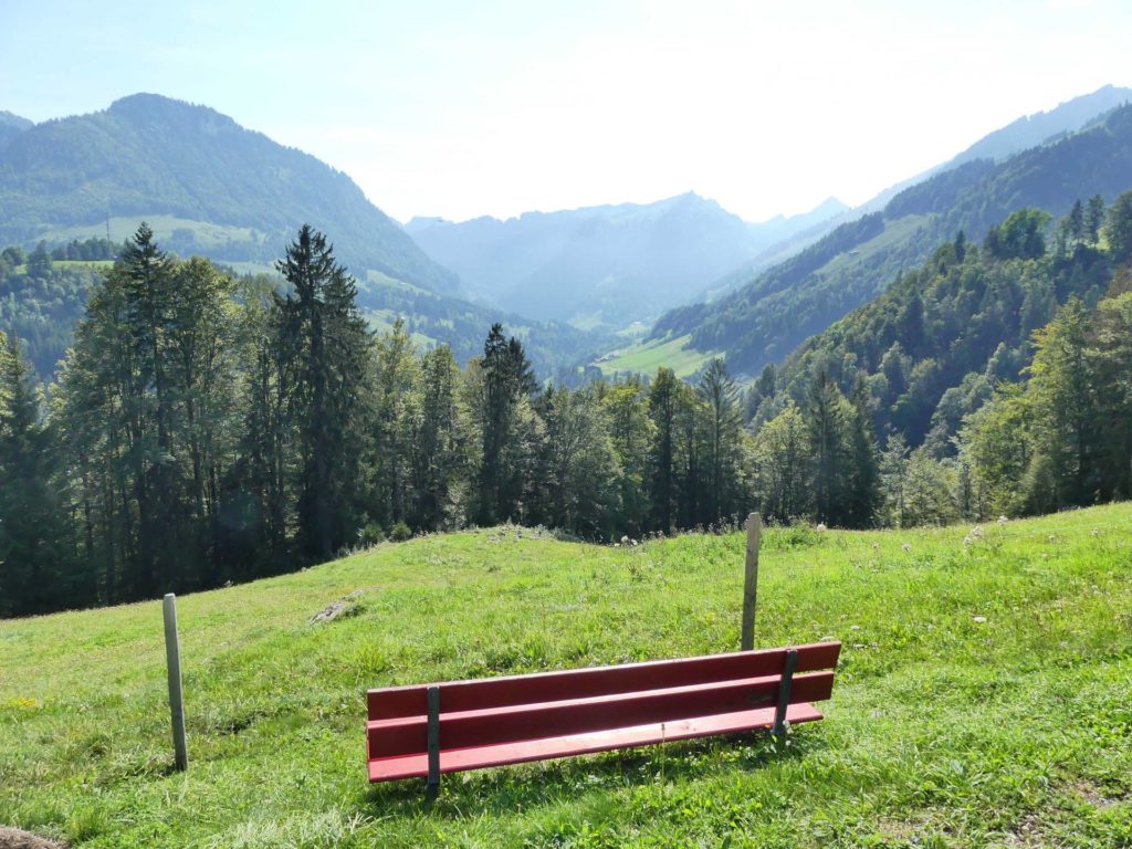 banc-1255