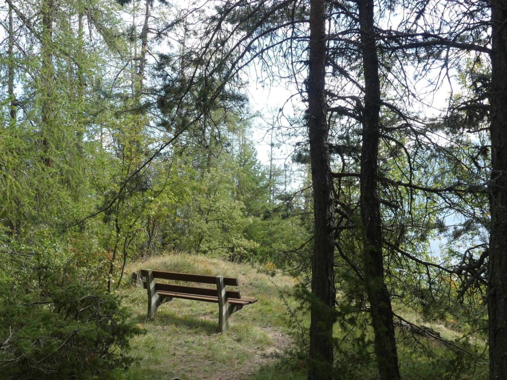banc-1284