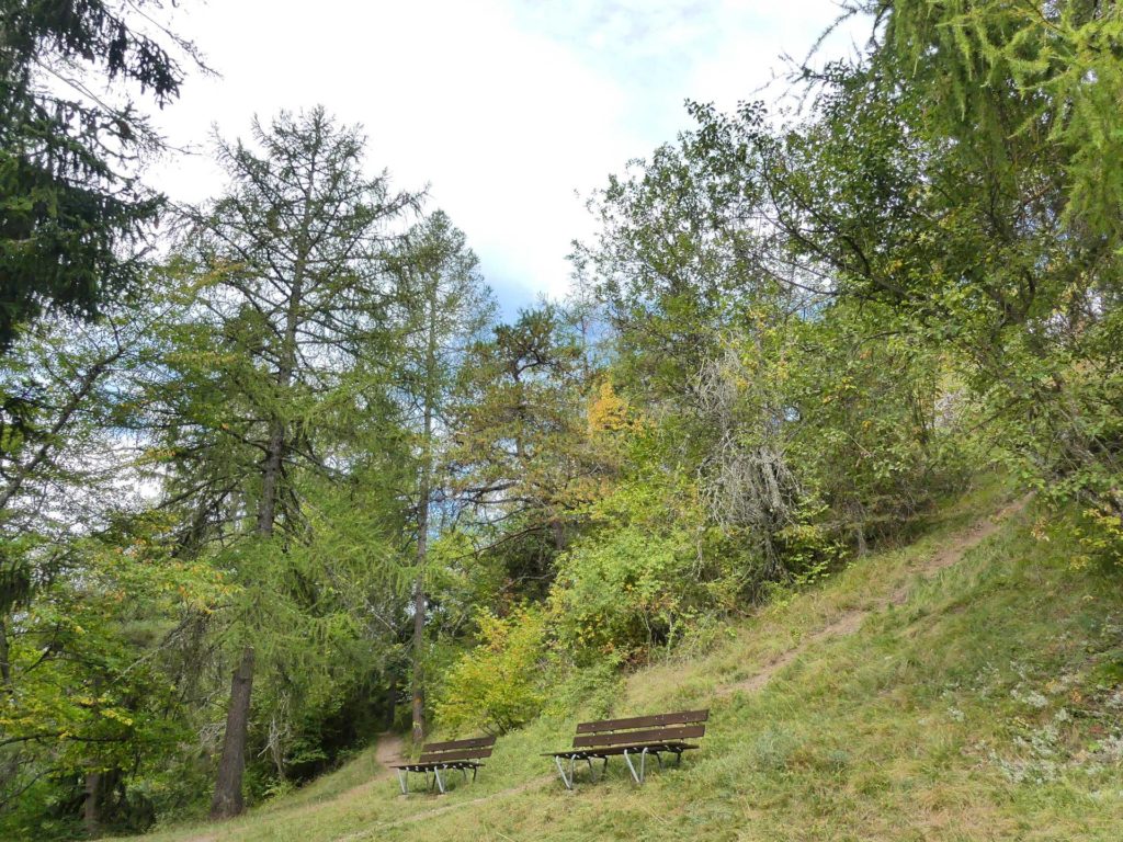 banc-1286