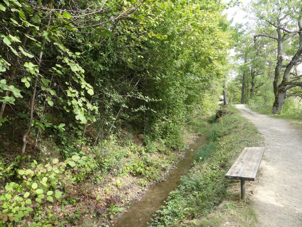 banc-1293