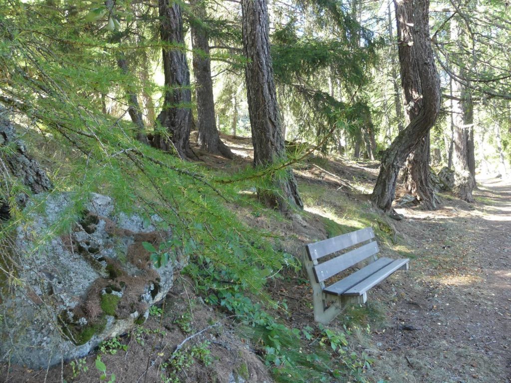 banc-1309
