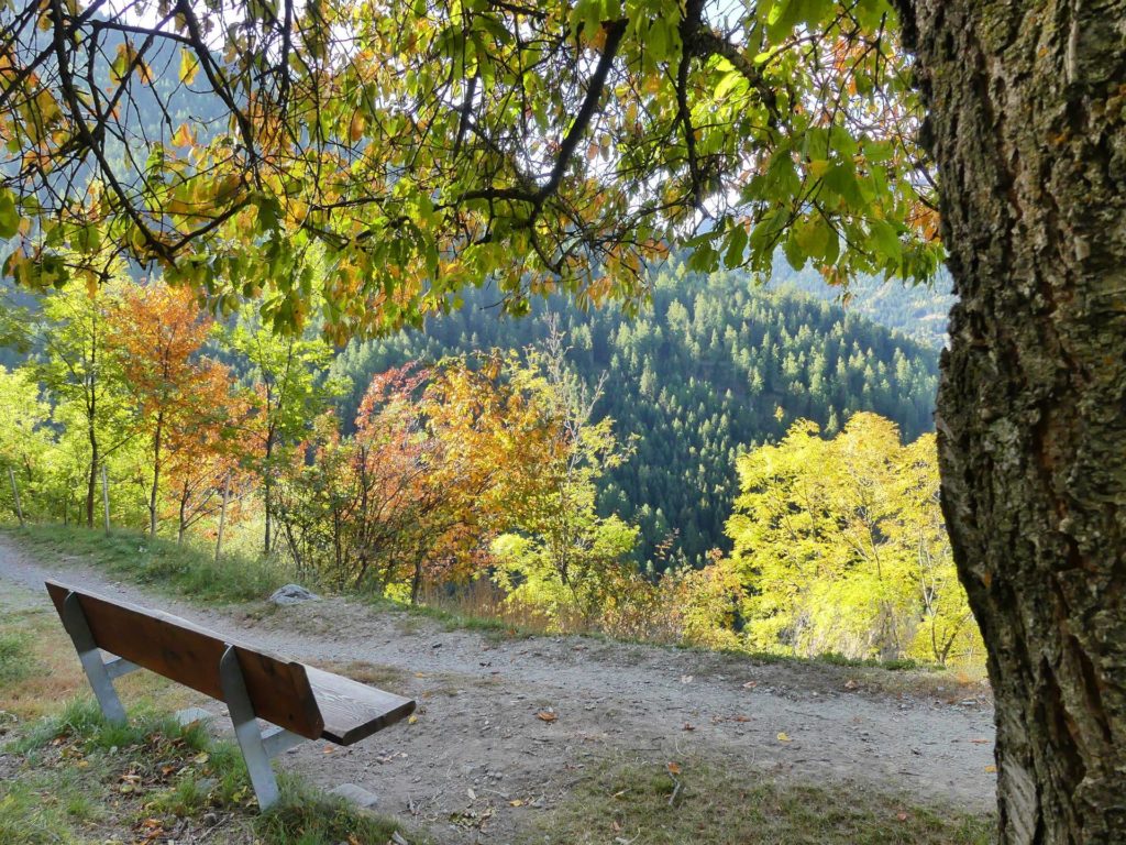 banc-1330