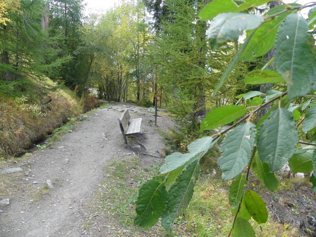 banc-1338