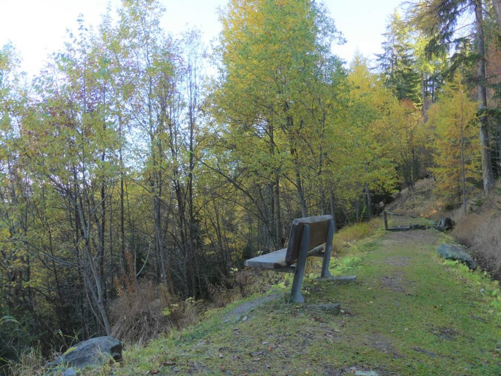 banc-1342