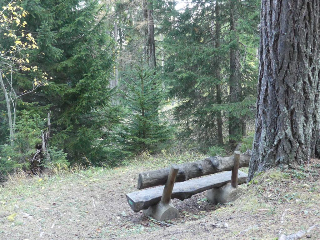 banc-1343
