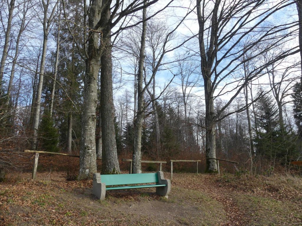 banc-1355