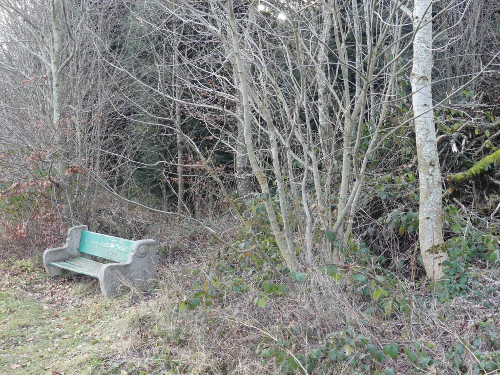 banc-1356