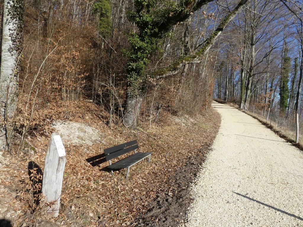 Bretonnières, Bois de Forel, Romainmôtier, Le Signal, Condemine, Croy, banc