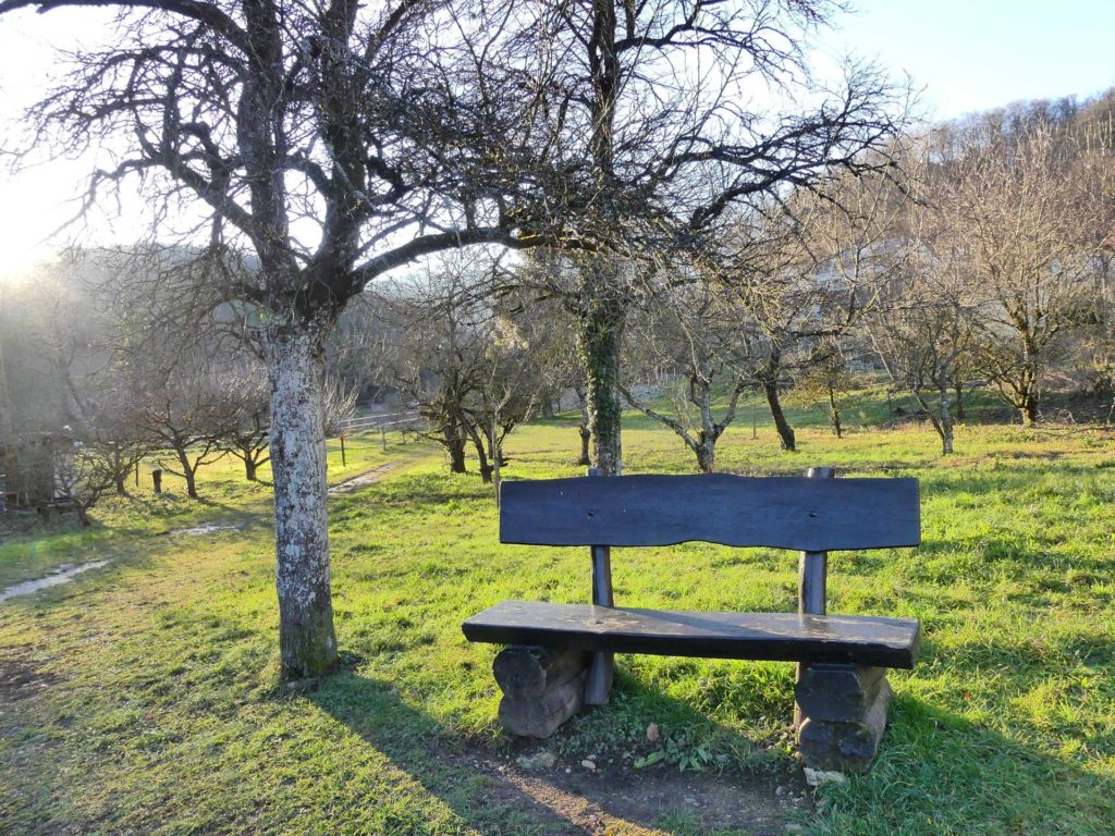Bretonnières, Bois de Forel, Romainmôtier, Le Signal, Condemine, Croy, banc
