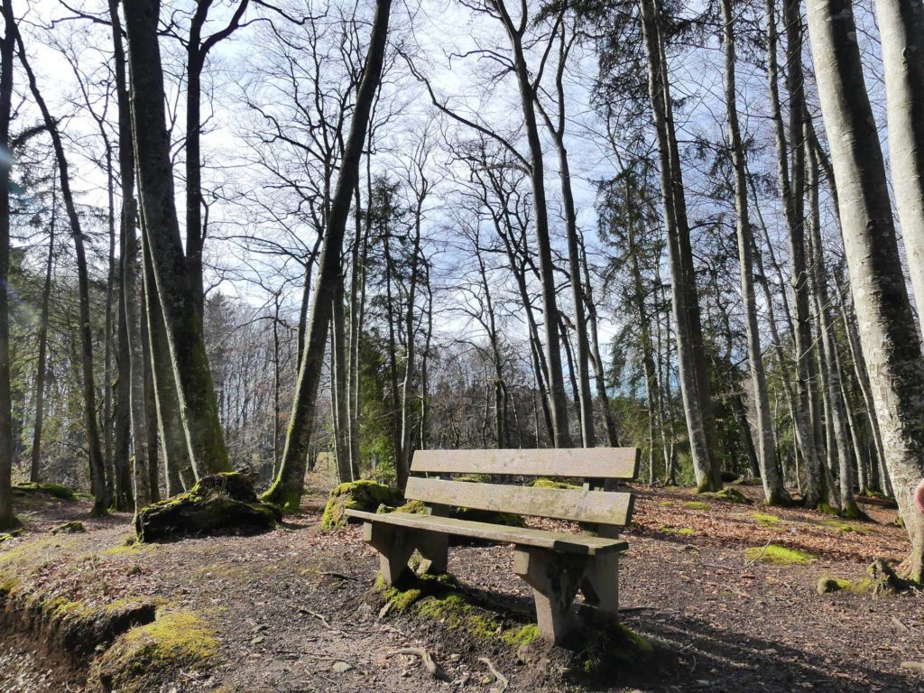 banc-1364